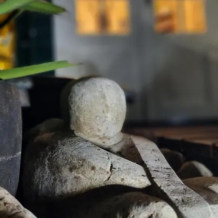 度假居 Osborne Near Hallstatt *