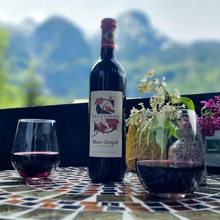 度假居 Osborne Near Hallstatt